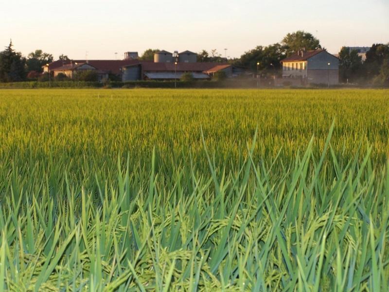 Cascina Battivacco Villa Milano Exterior foto